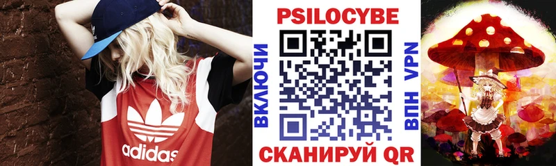 Псилоцибиновые грибы Cubensis Кедровый