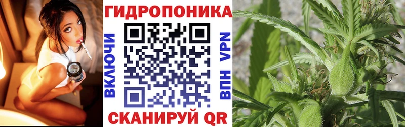 Бошки Шишки марихуана Кедровый